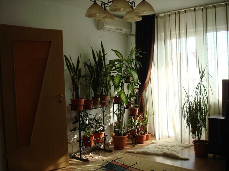 Apartament 2 camere de inchiriat proprietar - Dristor - 6