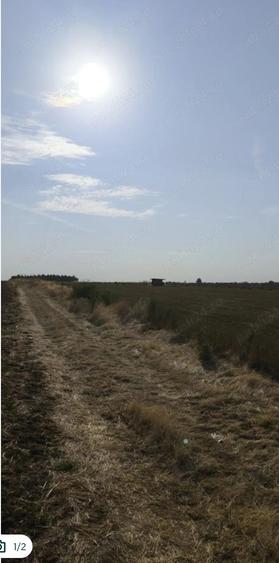 Teren de 30000 mp, în Cârcea