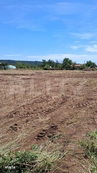 Teren de 2531 mp, în Radovan