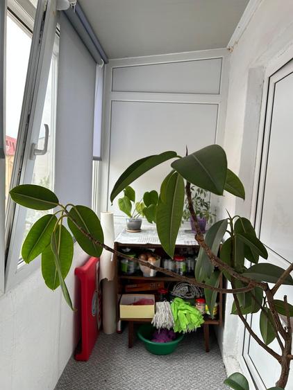 Apartament cu 3 camere în Inel I
