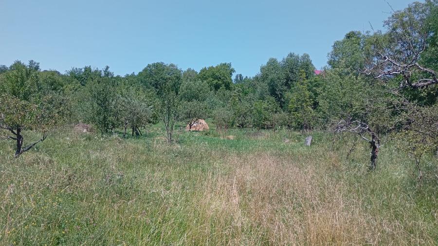 Casă individuală cu 5 camere cu Teren 10000 Mp în Văleni-Dâmbovița