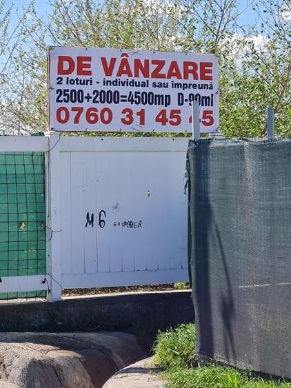 Teren Construcții intravilan de 2500 mp, în Cernica