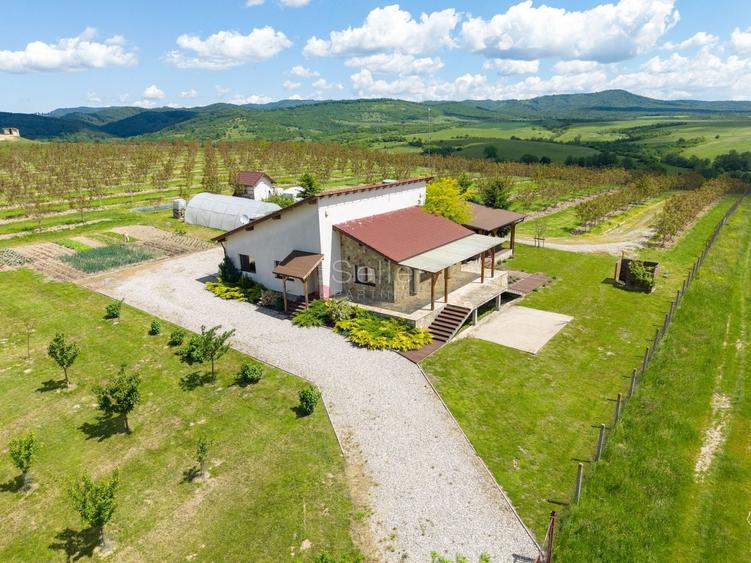Casă individuală cu 4 camere cu Canalizare în Dumbrăvița