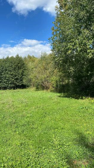 Teren de 4000 mp, în Beznea