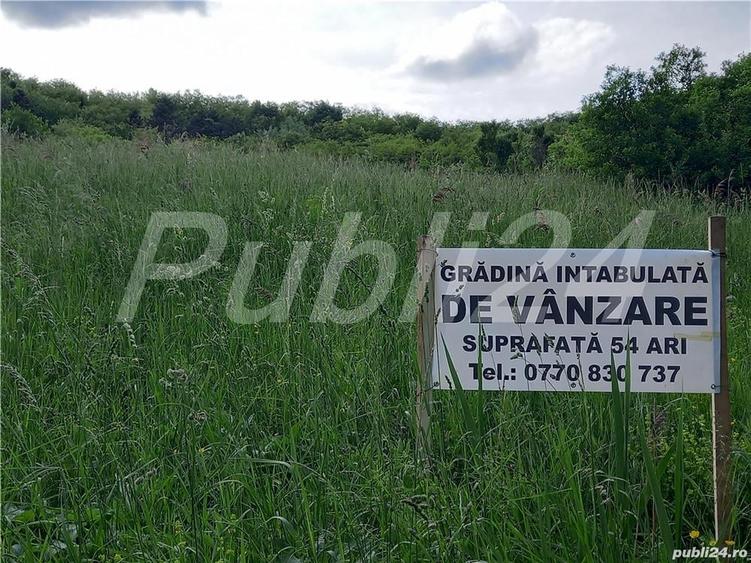 Teren în Central