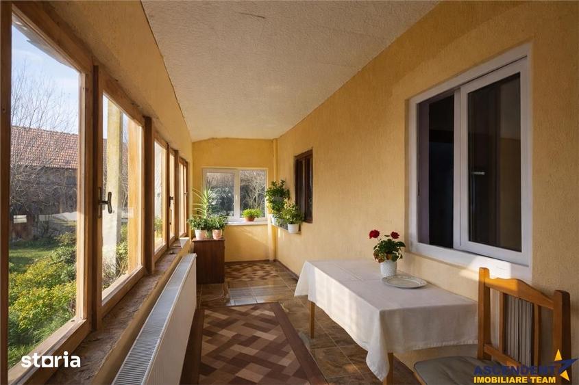FILM! Casa cu sura, pivnita, balta cu pesti, 2.280 mp teren roditor, L - 6