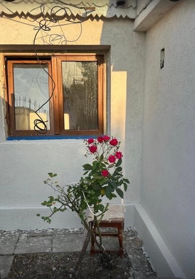 Casă individuală cu 3 camere cu Canalizare în Sud