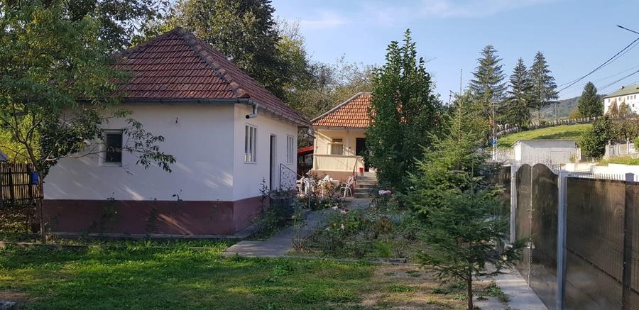 Casă individuală cu 3 camere cu Teren 3923 Mp în Govora