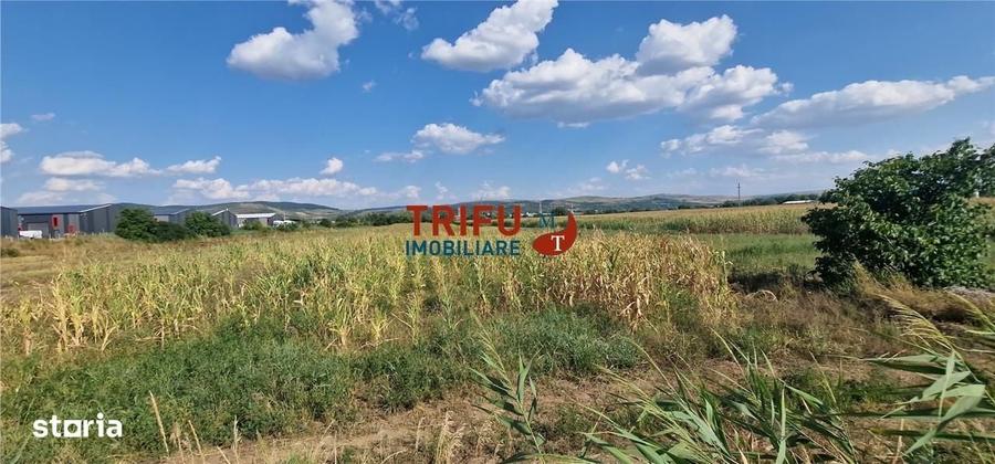 Spațiu comercial, în Industrială