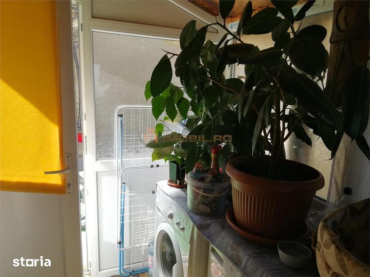 Casă cu 4 camere cu Teren 1136 Mp în Miroslava