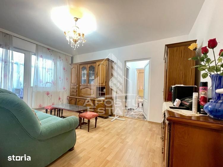 Apartament cu 2 camere semidecomandat în Șega