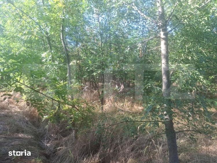 Teren de 5000 mp, în Răzvad
