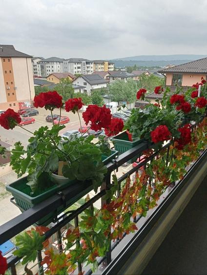 Apartament cu 2 camere semidecomandat în Valea Adâncă