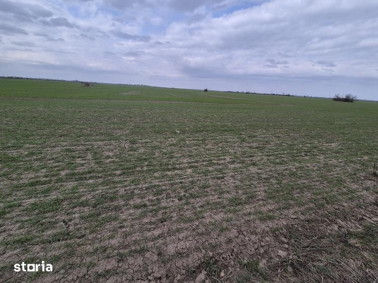 Teren de 13852 mp, în Domnești