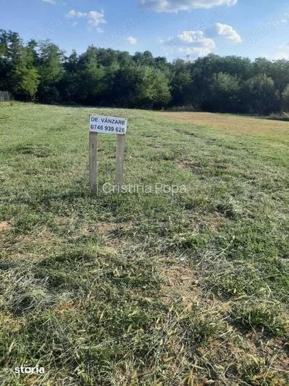 Teren intravilan 2600 mp cu toate utilitatile la strada Babeni Valcea