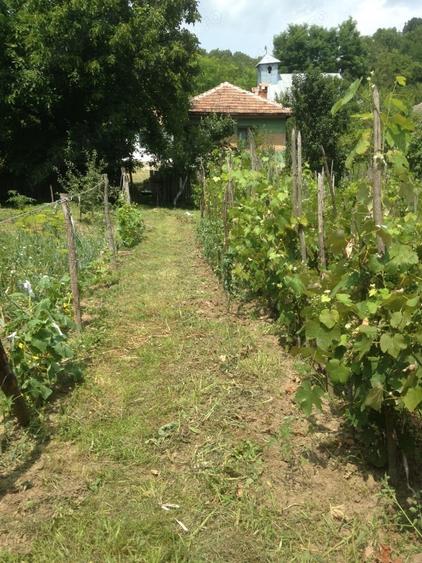 Casă individuală cu 6 camere cu Teren 980 Mp în Stănești (Stoilești)