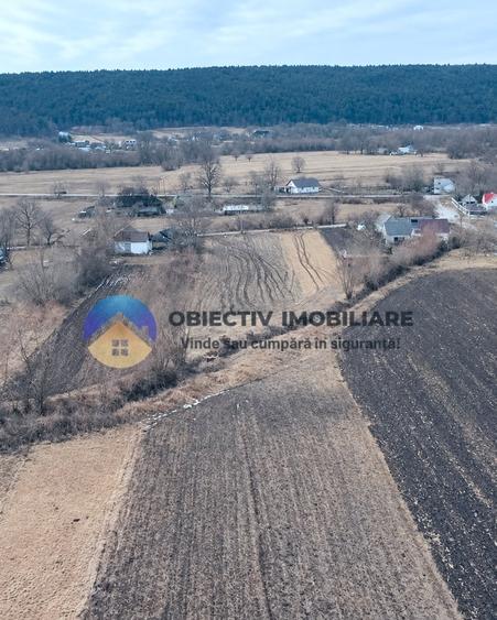 Teren intravilan de 10515 mp, în Bodești