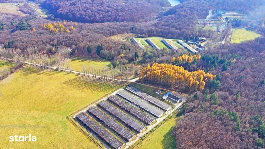 Teren de 186000 mp, în Dumbrăvița