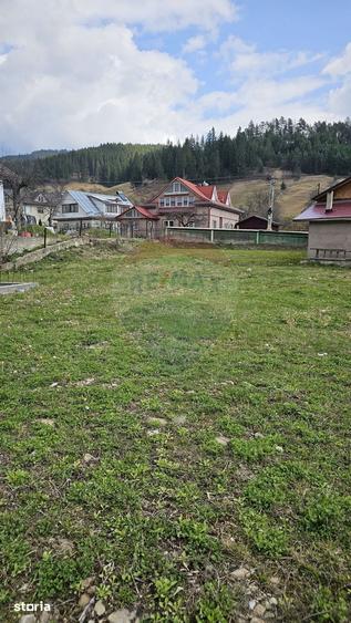 Teren 1,520mp Hangu / Strada Principala - 3