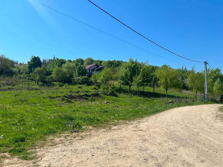 Teren Construcții intravilan de 600 mp, în Bucium