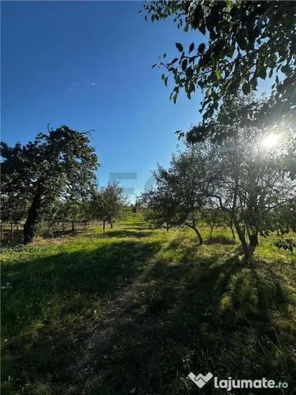 Reco Casa cu teren in Budureasa, langa Stana de Vale - 2