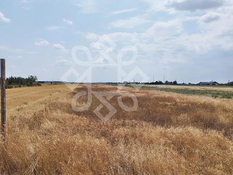 Teren de 3000 mp, în Gepiu