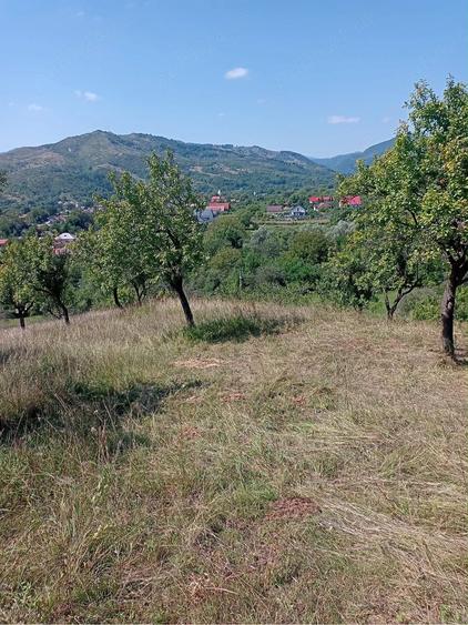 Teren de 3100 mp, în Chiojdu