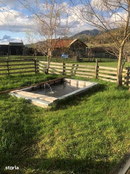 Casă cu 8 camere decomandat cu Teren 3000 Mp în Panaci
