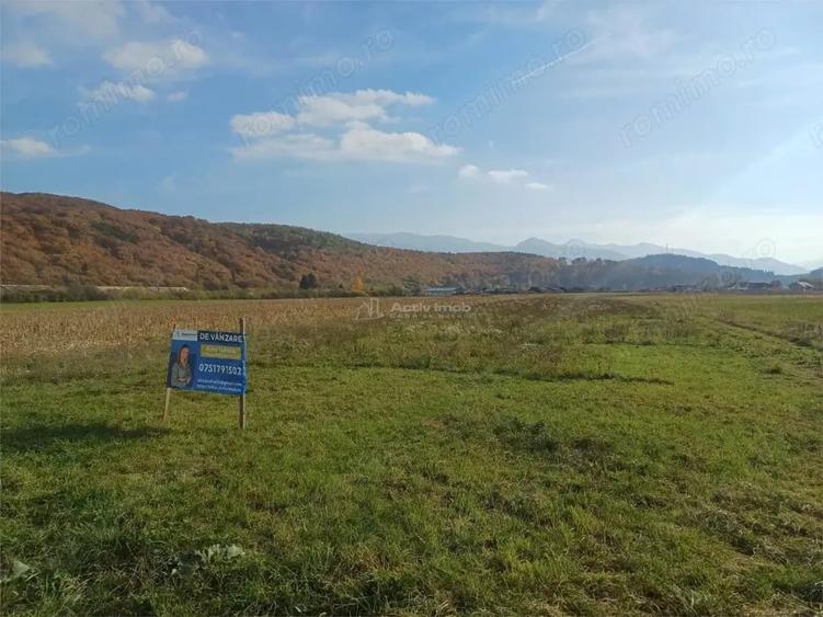 Teren de 10000 mp, în Tălmaciu