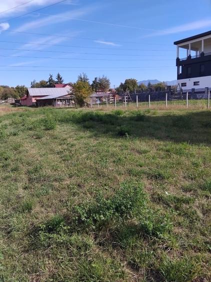 Teren Construcții intravilan de 2600 mp, în Livezile