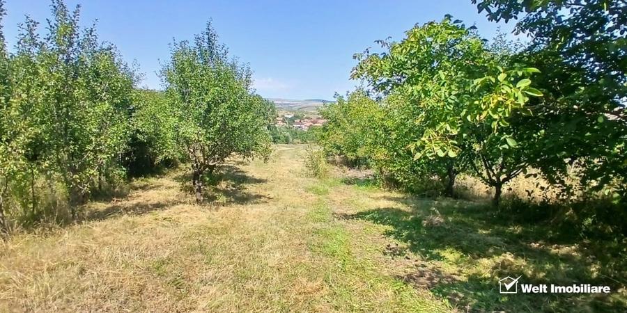 Casă individuală cu 3 camere cu Teren 1801 Mp în Comșești