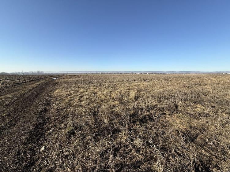 Teren agricol extravilan de 2300 mp, în Est