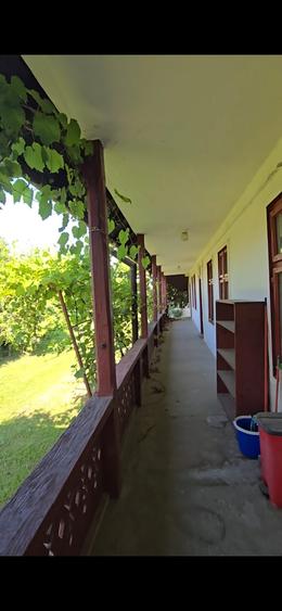 Casă cu 5 camere cu Canalizare în Brănești