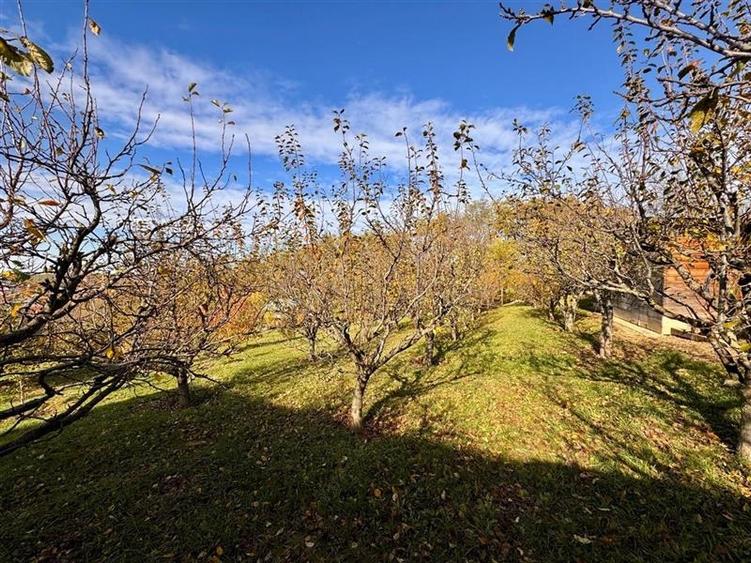 Casă individuală cu 3 camere cu Teren 4000 Mp în Bârnova