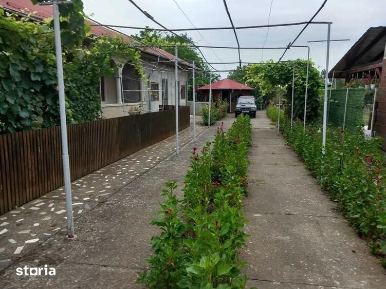 Casa Sat Ghizdaru, Giurgiu - 1