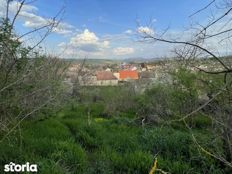 Teren de 5370 mp, în Roșia