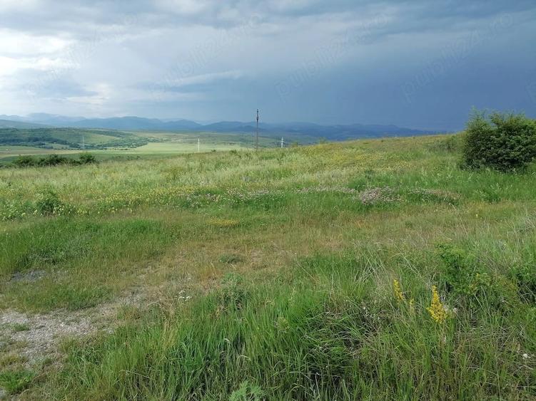 Teren de 3600 mp, în Ciurila