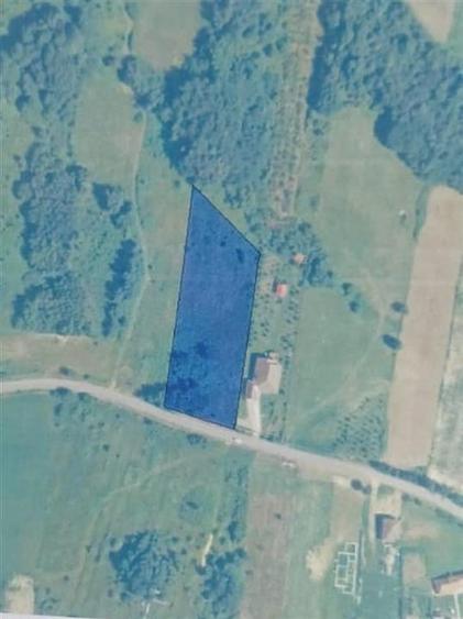 Teren Construcții intravilan de 6075 mp, în Lăzăreni