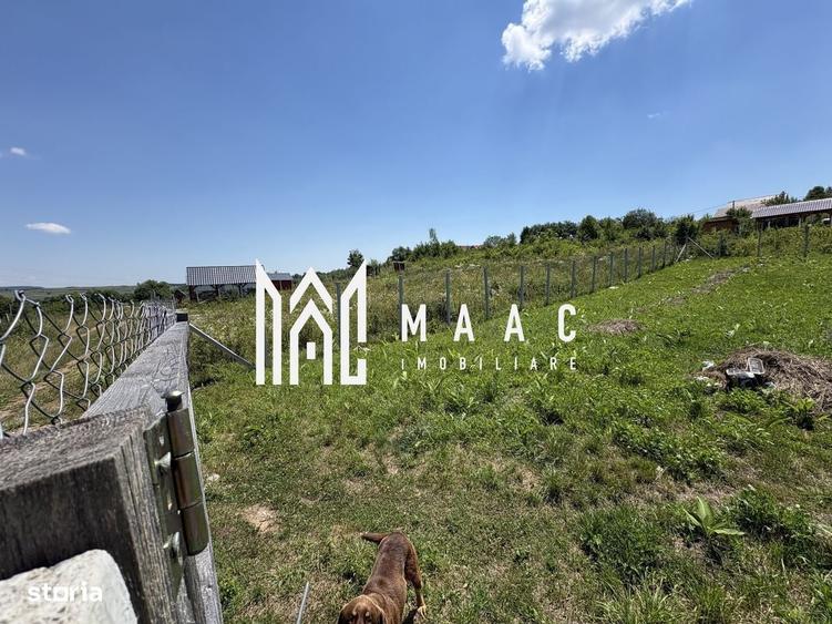 Spațiu comercial, în Arpașu de Jos