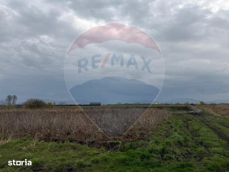 Teren de 45000 mp, în Hărman