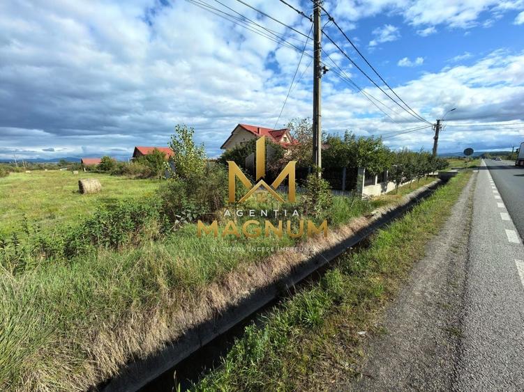 Teren Construcții intravilan de 5533 mp, în Satulung