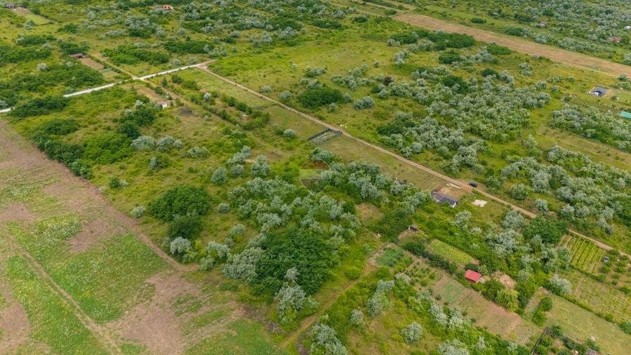 Teren agricol intravilan de 1106 mp, în Nord-Est