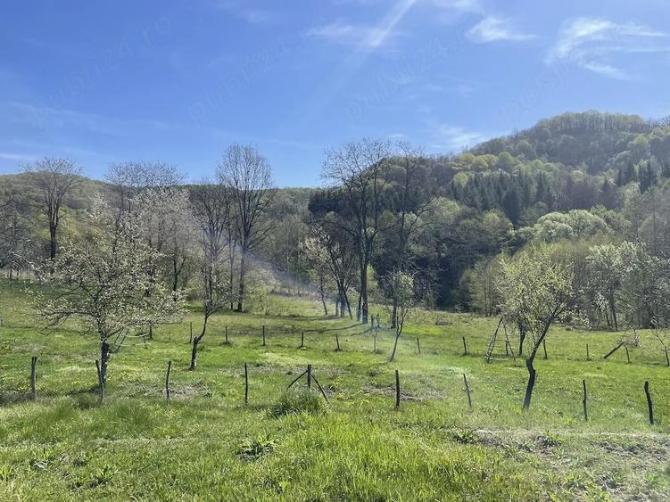 Teren de 3730 mp, în Vâlsănești