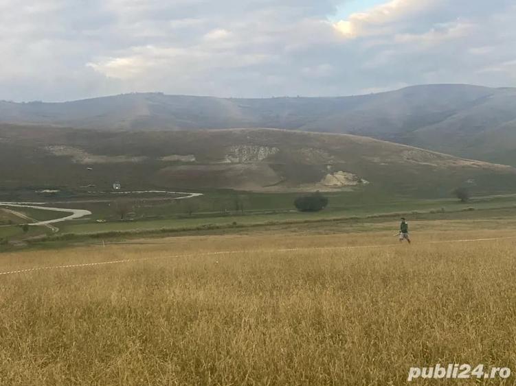Teren de 14500 mp, în Cojocna