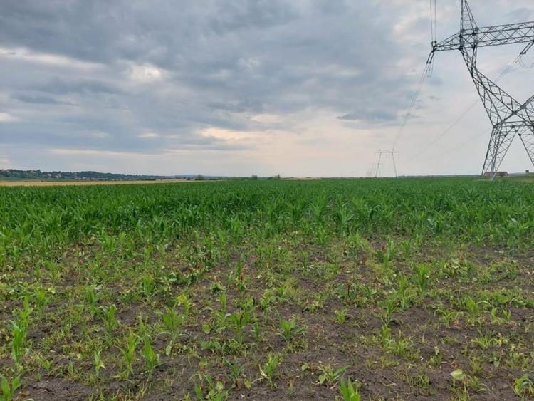 Teren agricol extravilan de 8877 mp, în Exterior Nord