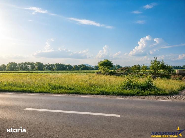 Teren intravilan 10.000 mp, parcelabil, plan, acces asfaltat, Bod, Bra - 10