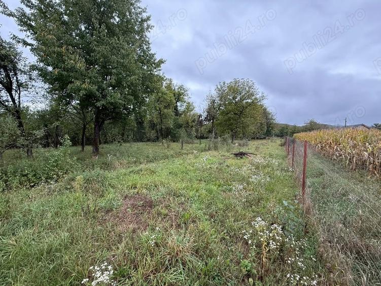 Teren de 2000 mp, în Hotar