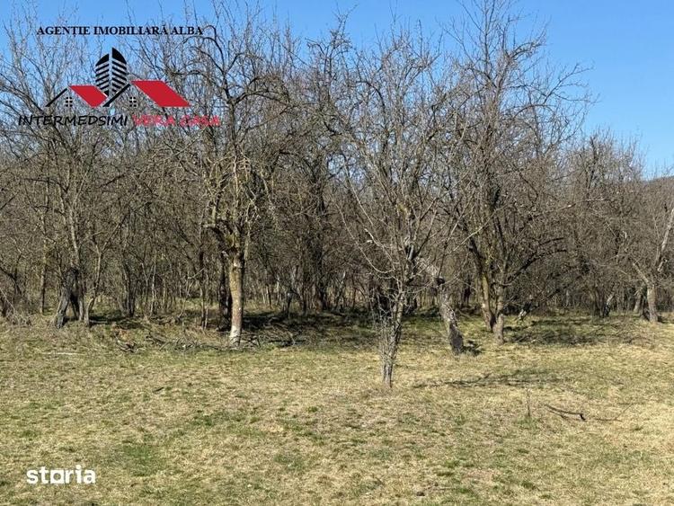Casa si anexe cu un teren de 7701 mp de vanzare in Stauini Jud Alba - 2