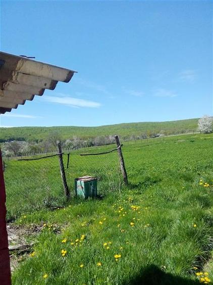 Casă individuală cu 2 camere cu Teren 10000 Mp în Mironeasa