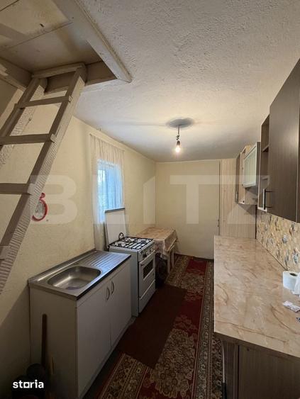 Casa pe parter, 115 mpc, 4505 mp teren, zona Bogea-Almaj - 13